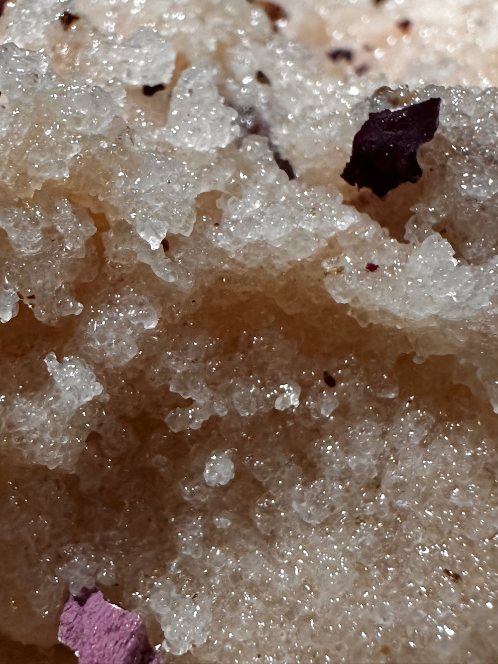Rosehip Sandy Sugar Scrub